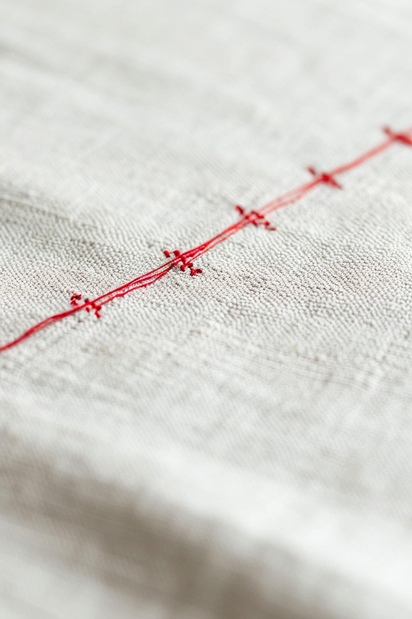 Close-up modern embroidery on linen